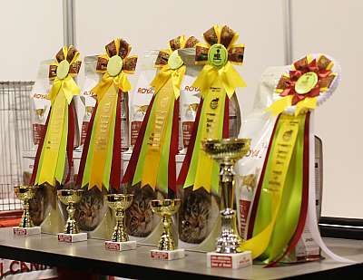 �������� ����� '���-�����-�������' 18-19 ������� 2014 169A4255 copy.jpg